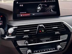 BMW 5 Series 530Li Luxury M Sport Package - ფოტო 13