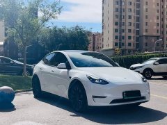 Tesla Model Y Performance All-Wheel Drive - ფოტო 1