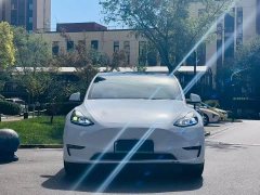 Tesla Model Y Performance All-Wheel Drive - ფოტო 2