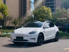Tesla Model Y Performance All-Wheel Drive - ფოტო 3