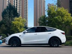 Tesla Model Y Performance All-Wheel Drive - ფოტო 4