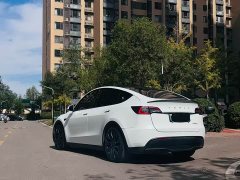 Tesla Model Y Performance All-Wheel Drive - ფოტო 5