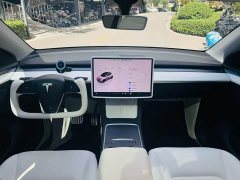 Tesla Model Y Performance All-Wheel Drive - ფოტო 8