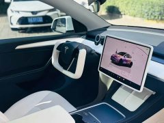 Tesla Model Y Performance All-Wheel Drive - ფოტო 9