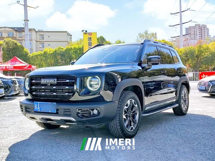 Great Wall Dachshund 2.0T DCT Four-Wheel Drive Howling Celestial Dog Edition