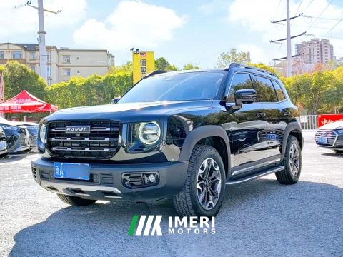 2022 Great Wall Dachshund 2.0T DCT Four-Wheel Drive Howling Celestial Dog Edition - ავტომობილი ჩინეთიდან