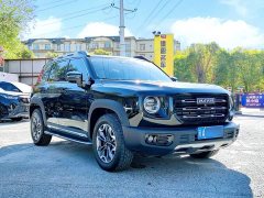 Great Wall Dachshund 2.0T DCT Four-Wheel Drive Howling Celestial Dog Edition - ფოტო 3