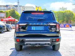 Great Wall Dachshund 2.0T DCT Four-Wheel Drive Howling Celestial Dog Edition - ფოტო 5