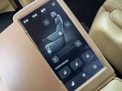 Voyah Lantu Dreamchaser EV AWD Excellence Kunpeng Edition - ფოტო 11