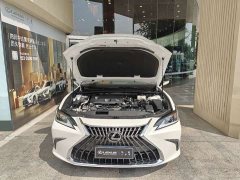 Lexus ES 300h Excellence Edition - ფოტო 6