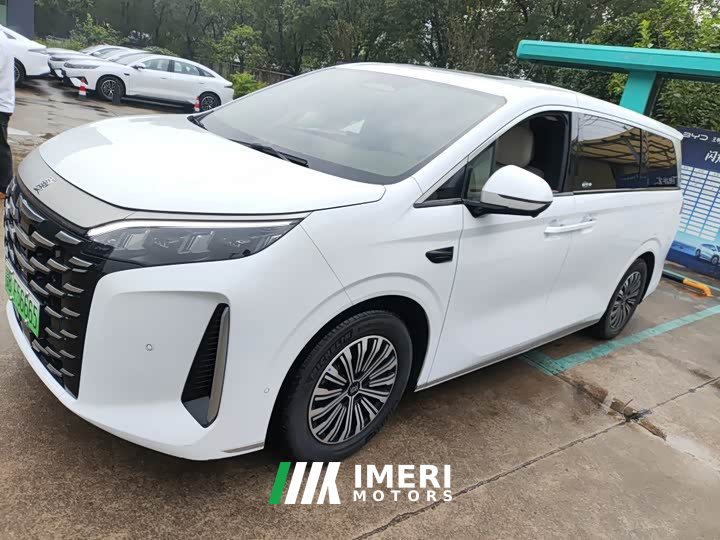 BYD Summer DM-i 1.5T 180km Exceed - ავტომობილი ჩინეთიდან
