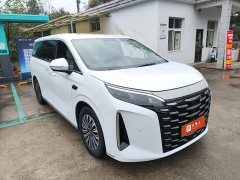 BYD Summer DM-i 1.5T 180km Exceed - ფოტო 2