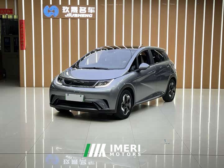 BYD Dolphin 405km Fashion Edition - ავტომობილი ჩინეთიდან
