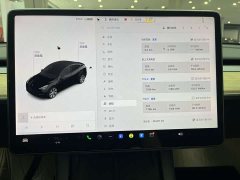 Tesla Model Y Rear-Wheel Drive - ფოტო 18
