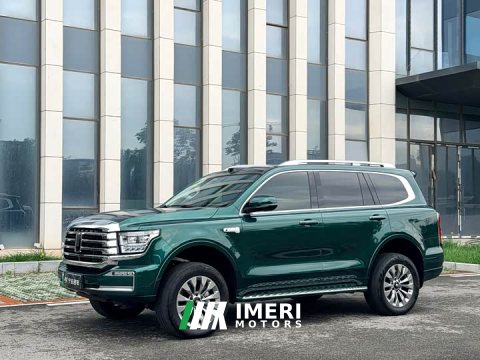2025 Tank 500 New Energy Hi4-Z Smart Comfort Edition - автомобиль из Китая