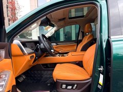 Tank 500 New Energy Hi4-Z Smart Comfort Edition - ფოტო 5