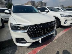 Haval H6 National Trend Edition 1.5T Automatic Urban Version - photo 3