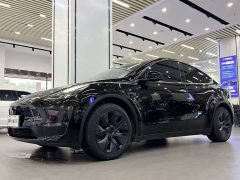 Tesla Model Y Long Range All-Wheel Drive - фото 1