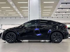 Tesla Model Y Long Range All-Wheel Drive - фото 3