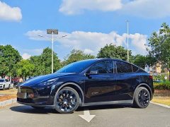 Tesla Model Y Standard Range RWD - ფოტო 1