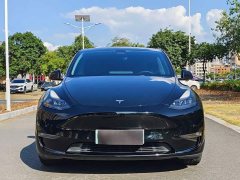 Tesla Model Y Standard Range RWD - ფოტო 2