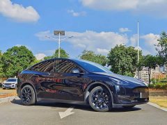 Tesla Model Y Standard Range RWD - ფოტო 3