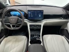 BYD Song Plus New Energy DM-i 112KM Luxury Edition - ფოტო 19