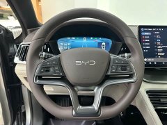 BYD Song Plus New Energy DM-i 112KM Luxury Edition - ფოტო 8