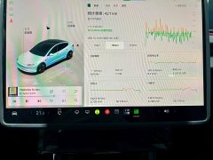 Tesla Model 3 Rear-Wheel Drive - ფოტო 14
