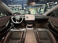 Tesla Model 3 Rear-Wheel Drive - ფოტო 20