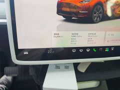 Tesla Model Y Rear-Wheel Drive - ფოტო 8