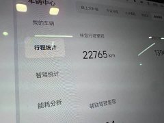 Li Auto L8 Pro - ფოტო 9