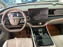 Denza D9 DM-i 970 AWD Premium Edition - ფოტო 3