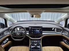 Denza D9 DM-i 1050 Premium - ფოტო 11