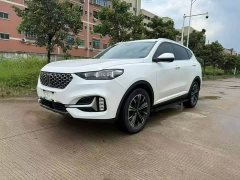 Great Wall WEY VV6 2.0T Two-Wheel Drive Smart Protection - ფოტო 1