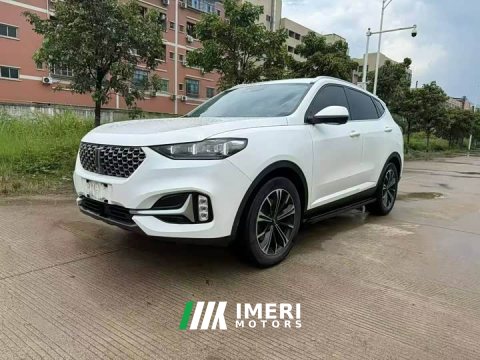 2021 Great Wall WEY VV6 2.0T Two-Wheel Drive Smart Protection - ავტომობილი ჩინეთიდან