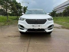 Great Wall WEY VV6 2.0T Two-Wheel Drive Smart Protection - ფოტო 2