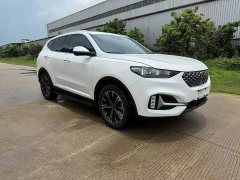 Great Wall WEY VV6 2.0T Two-Wheel Drive Smart Protection - ფოტო 3