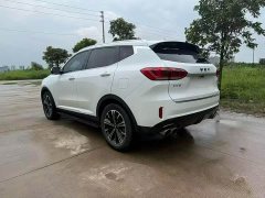 Great Wall WEY VV6 2.0T Two-Wheel Drive Smart Protection - ფოტო 9
