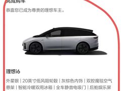Li Auto i6 Two-Wheel Drive Standard - ფოტო 20