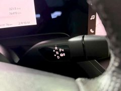XPeng P7 480N - ფოტო 15