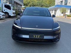 Tesla Model Y Rear-Wheel Drive - ფოტო 2