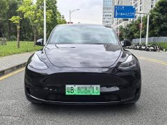 Tesla Model Y Rear-Wheel Drive - ფოტო 2