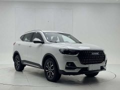 Haval H6 National Trend Edition 1.5T Automatic Urban Version - ფოტო 3