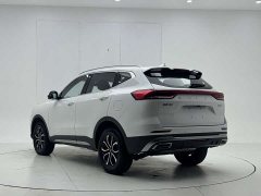 Haval H6 National Trend Edition 1.5T Automatic Urban Version - ფოტო 6