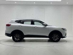 Haval H6 National Trend Edition 1.5T Automatic Urban Version - ფოტო 9
