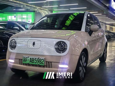 2021 ORA Black Cat 351km Luxury - ავტომობილი ჩინეთიდან