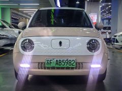 ORA Black Cat 351km Luxury - ფოტო 2
