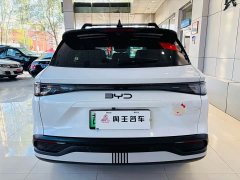 BYD Sealion 05 DM-i Smart Driving Edition 75KM Luxury - ფოტო 6
