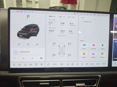 Li Auto L9 Pro - ფოტო 6